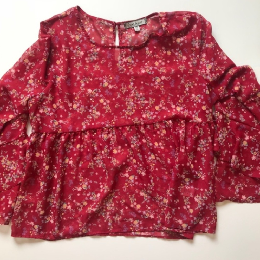 Crave Fame by Almost Famous Red Floral Sheer Top